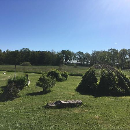 Liten Stuga Mitt I Naturen Pa Kinnekulle Hallekis Exterior photo